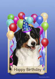 Affordable and search from millions of royalty free images, photos and vectors. Pin By Bette Dutton On Birthdays Happy Birthday Photos Birthday Photos Birthday Greetings