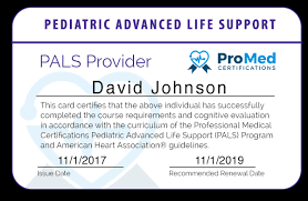 What Is A Pals Certification?