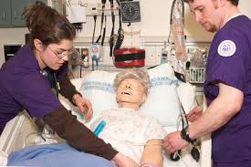 What classes to take for nursing. Bsn Bachelor Of Science In Nursing School Of Nursing