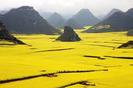 أجمل 10 صور مناظر طبيعية من حول العالم لم تتصو روا أنها موجودة Cool Places To Visit Beautiful Places On Earth Breathtaking Places