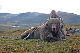 This hunt on the alaskan peninsula is the rolls royce of brown bear hunting. Brown Bear Alaska Peninsula Hunt Kelly Vrem Alaska Guide Service