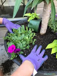 Check spelling or type a new query. Tutorial How To Plant Flowers In A Pot Life On Virginia Street