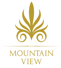 Mountain View Home