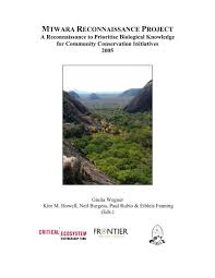 Image result for Gardenia transvenulosa