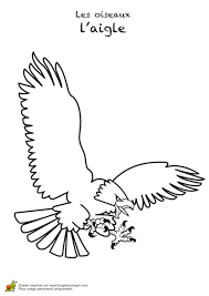 page 8 sur 14 hugolescargot com coloriage aigle oiseaux a colorier de jeune anna et elsa