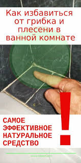 как избавиться от плесени и грязных швов между плиткой Kak Izbavitsya Ot Gribka I Pleseni V Vannoj Komnate Samoe Effektivnoe Naturalnoe Sredstvo Plesen V Vannoj Uborka Doma Sovety Uborka