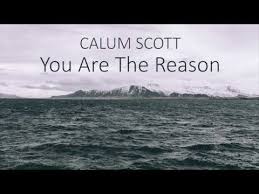 Lirik lagu you are the reason calum scott lyris youtube. Karaoke Cause You Are The Reason Free Mp4 Video Download Jattmate Com