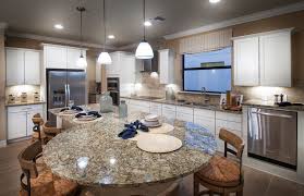 Martin Ray New Home Features Venice Fl Divosta Home Builders Islandwalk At The West Villages Home New Homes Pulte Homes