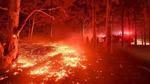 Check spelling or type a new query. Australie Les Incendies Ont Detruit 20 Des Forets En Cinq Mois
