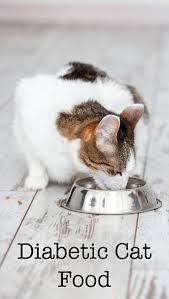 In this respect, diabetic dry cat foods offer a diet lower in carbohydrate and fiber than mainstream products, but not exactly low by any objective standard. Your Guide To The Very Best Diabetic Cat Food