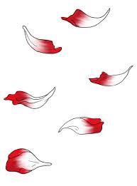 As kids, drawing a poppy flower was the basic homework that we all had to complete once in a while. Drawing Of Petals Novocom Top