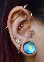 Pin By Hadassah Salinas On Piercings Cute Ear Piercings Cute Piercings Earings Piercings