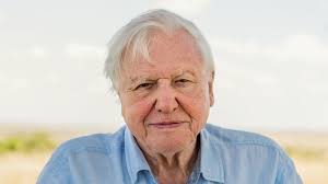 15 of sir david attenborough's best quotes. Sir David Attenborough Receives Covid 19 Vaccine Bbc News