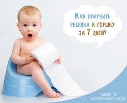 как приучить ребенка к горшку в 2 года видео Kak Priuchit Rebenka K Gorshku Metodiki Za 3 I 7 Dnej Pravila Sovety Video