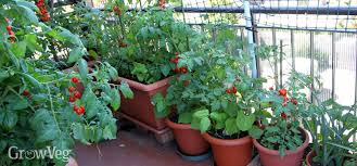 Maybe you would like to learn more about one of these? Grow An Edible Garden On Your Balcony