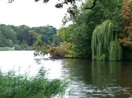 Wannsee Berlin Germany Germany Berlin Germany Berlin