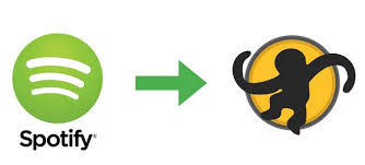 How To Transfer Spotify Library To Mediamonkey Spotify Music Spotify Music Converter