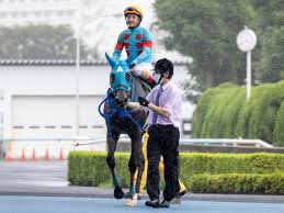 Jun 16, 2021 · 現地時間15日、イギリスのアスコット競馬場でg1・クイーンアンステークス(4歳上・芝直線1600m・11頭立て)が行われた。 大外枠から道中は好位の外. Zdlk9nioww2ytm