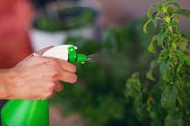 Spray N Grow Products Reviews Thriftyfun