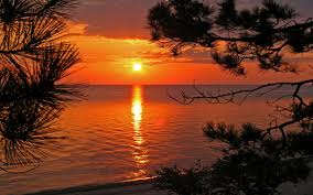 If you have your own one, just create an account on the website and upload a picture. Amazing Sunset Beach Pictures Sunset Wallpaper Sunset Pictures