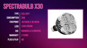 There are a number of high quality leds for growing marijuana. 30x30 Pack Plug Play Bulb Leds Bloomled X30 Homebox 30x30x60 Cm Cable Growled
