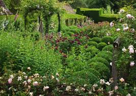 Anthea Gibson S Rose Garden Box Balls Westwell Manor Cotswolds Rose Garden Design Topiary Garden English Cottage Garden