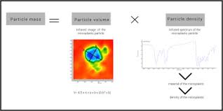They made the day really easy for us with a 4 month old baby! Quantification Of Microplastic Mass And Removal Rates At Wastewater Treatment Plants Applying Focal Plane Array Fpa Based Fourier Transform Infrared Ft Ir Imaging Sciencedirect