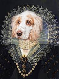 We did not find results for: Renaissance Pet Portraits Australia The Y Guide
