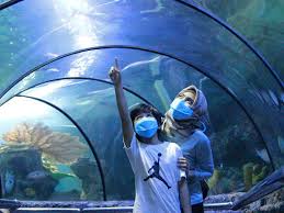 Tiket Seaworld Ancol Easy Access Harga Promo 2021 Di Traveloka Xperience Berikut ini detailnya untuk daftar harga tiket masuk searorld ancol baik weekday maupun weekend kategori reguler atau anualpass. tiket seaworld ancol easy access harga promo 2021 di traveloka xperience