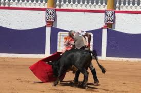 El Dandy tras permitirlo el confinamiento invitó a José Arcila a ensayar el  toreo – TorosenelMundo