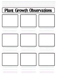 Plant Growth Observation Worksheet Plant Growth Plants Observation Journal 100 Day Of School Project