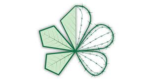 Image result for Stathmostelma fornicatum