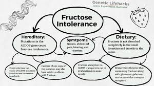Image result for Hereditary Fructose Intolerance