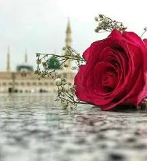 Islam is the best and only true religion for humans that covers every aspect of life including marriage. How To Protect Your Marriage Pious Muslim Husband Wife Islamic Pictures Islamic Wallpaper Hd Islamic Images