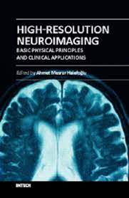 High Resolution Neuroimaging Download Free Books Legally