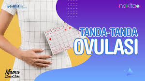 Saya mahu menambah pembebasan bayi, berapa lama masa yang diambil untuk mendapatkan anak anda. Kemungkinan Untuk Hamil Semasa Bersetubuh Selepas Menstruasi