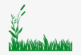 Download Grass Clipart Row Grass Svg Transparent Png 640x480 Free Download On Nicepng
