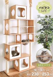 楽天市場 当店オリジナル 木製キャットタワー 4h限定 クーポンで全品5 off 送料無料 幅110cm 麻紐 爪とぎ キャットタワー 多頭飼い キャットウォーク キャットタワー 猫 ねこ ネコ リビング ペット 猫タワー 爪研ぎ 麻紐 キャットシェルフ 背面化粧仕上げ ハピネコ