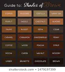 Brown Color Chart Stock Illustrations Brown Color Palette Dark Color Palette Color Names Chart