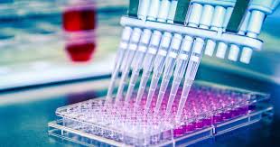 It is not an accurate reflection of the bioavailable hormone (the amount of hormone that is active in organs and tissues). Info On Getting Your Hormones Tested