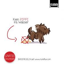 Check spelling or type a new query. Poster Gratis Baderegeln Kinder Download Rundfux