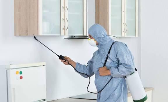 Pest Control in Gaya | Call 82352 10074