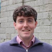 600+ 'Shane' profiles