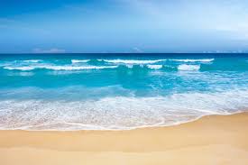 Background With Summer Sea Gallery Yop 1808789 Png Images Pngio
