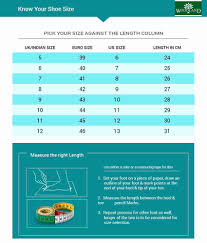 best of illustration ll bean boot size chart at graph and chart