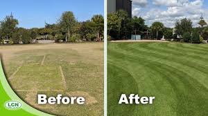 Maybe you would like to learn more about one of these? Fixing An Ugly Zoysia Lawn Youtube