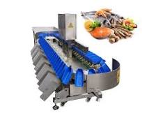 [Hot Item] Tilapia Fish Size Grader Crab Shrimp Seafood Sorter for Fish  Sorting Automatic Weight Grading Classifier Machine
