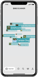 Breed recognition apk para android gratis. Dog Scanner Identificacion De Raza De Perro Numero 1 En Android E Ios