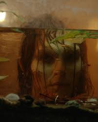 𝙁𝙎 𝙀𝙭𝙘𝙡𝙪𝙨𝙞𝙫𝙚 𝙋𝙧𝙚𝙢𝙞𝙚𝙧𝙚