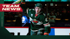 The Quinn Hughes Effect: How He Transformed the Minnesota Wild